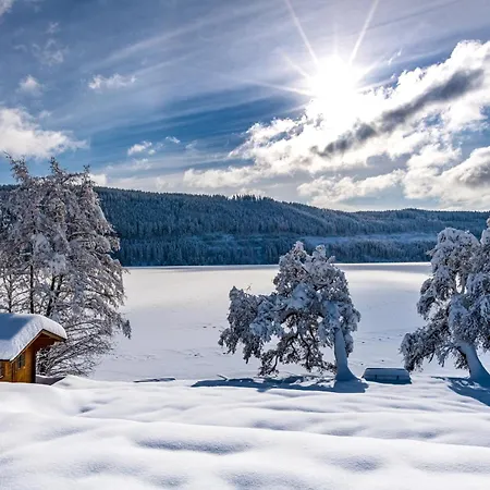 Albzeit Naturholzapartments - Buche - Stblasien Daire