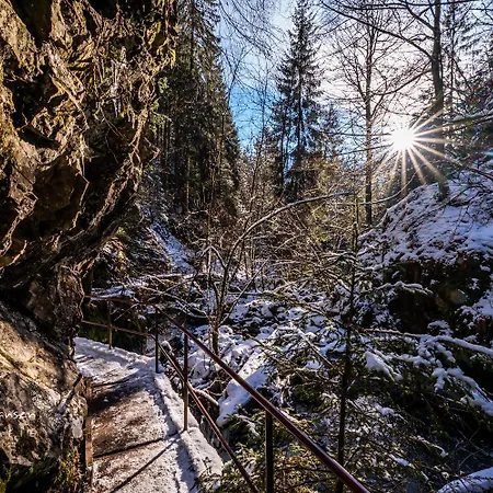 Albzeit Naturholzapartments - Buche - Stblasien